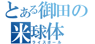 とある御田の米球体（ライスボール）