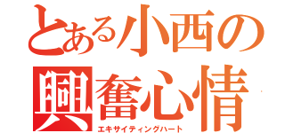 とある小西の興奮心情（エキサイティングハート）