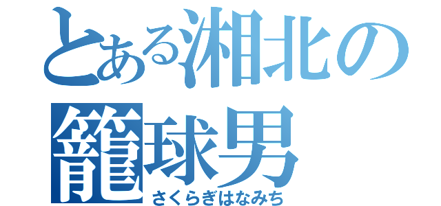 とある湘北の籠球男（さくらぎはなみち）