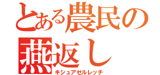 とある農民の燕返し（キシュアゼルレッチ）