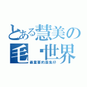 とある慧美の毛绒世界（最重要的是兔仔）