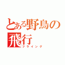 とある野鳥の飛行（フライング）