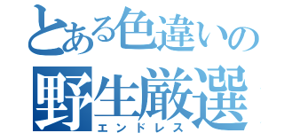 とある色違いの野生厳選（エンドレス）