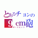 とあるチョンの９ｃｍ砲（ポークビッツ）