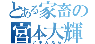 とある家畜の宮本大輝（アホんだら）