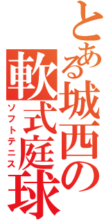 とある城西の軟式庭球（ソフトテニス）