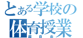 とある学校の体育授業（超自由）