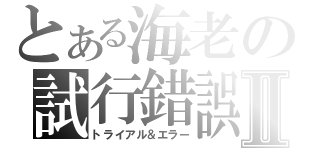 とある海老の試行錯誤Ⅱ（トライアル＆エラー）