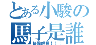 とある小駿の馬子是誰（快點解釋！！！）