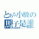 とある小駿の馬子是誰（快點解釋！！！）