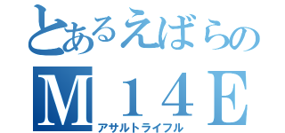 とあるえばらのＭ１４ＥＢЯ （アサルトライフル）