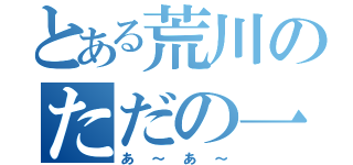 とある荒川のただの一日（あ～あ～）