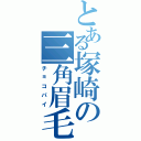 とある塚崎の三角眉毛（チョコパイ）