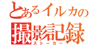 とあるイルカの撮影記録（ストーカー）