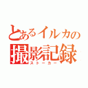 とあるイルカの撮影記録（ストーカー）