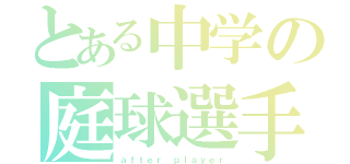 とある中学の庭球選手（ａｆｔｅｒ ｐｌａｙｅｒ）