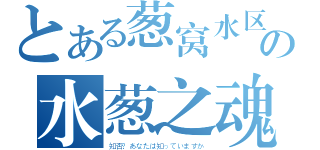 とある葱窝水区の水葱之魂（知否？あなたは知っていますか）