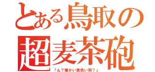 とある鳥取の超麦茶砲（『ん？暖かい黄色い雨？』）