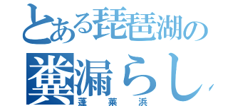 とある琵琶湖の糞漏らし（蓬　莱　浜）