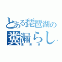 とある琵琶湖の糞漏らし（蓬　莱　浜）