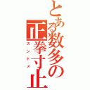 とある数多の正拳寸止（スンドメ）