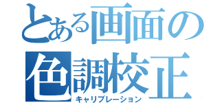 とある画面の色調校正（キャリブレーション）