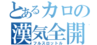 とあるカロの漢気全開（フルスロットル）