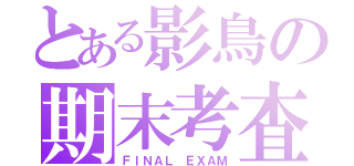 とある影鳥の期末考査（ＦＩＮＡＬ ＥＸＡＭ）