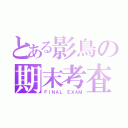 とある影鳥の期末考査（ＦＩＮＡＬ ＥＸＡＭ）