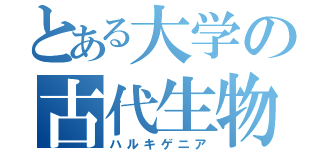 とある大学の古代生物（ハルキゲニア）