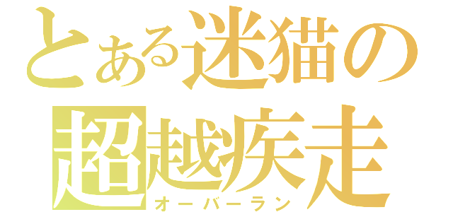 とある迷猫の超越疾走（オーバーラン）