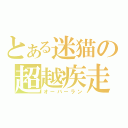 とある迷猫の超越疾走（オーバーラン）