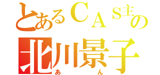 とあるＣＡＳ主の北川景子（あん）