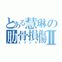 とある慧琳の肋骨損傷Ⅱ（エリンギ）