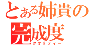 とある姉貴の完成度（クオリティー）