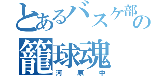 とあるバスケ部の籠球魂（河原中）