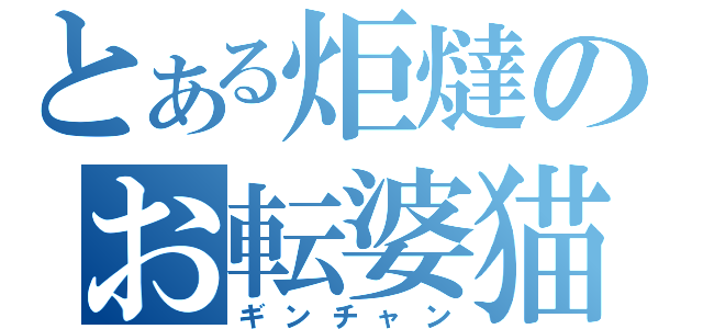 とある炬燵のお転婆猫（ギンチャン）