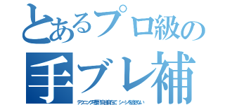 とあるプロ級の手ブレ補正（テクニック不要！自由自在で、シーンを逃さない）