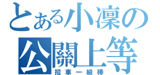 とある小凜の公關上等（招車一級棒）