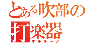 とある吹部の打楽器（マルチーズ）