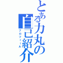 とある力丸の自己紹介Ⅱ（プロフィール）