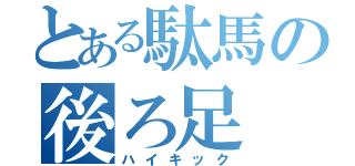 とある駄馬の後ろ足（ハイキック）