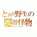 とある野生の携帯怪物（ポケットモンスター）