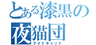 とある漆黒の夜猫団（ナイトキャット）