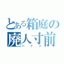 とある箱庭の廃人寸前（ハイジ）