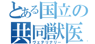 とある国立の共同獣医（ヴェテリナリー）