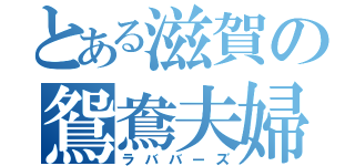 とある滋賀の鴛鴦夫婦（ラババーズ）