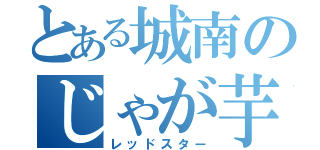 とある城南のじゃが芋畑（レッドスター）