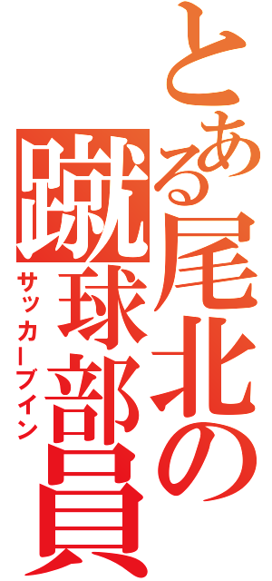 とある尾北の蹴球部員（サッカーブイン）