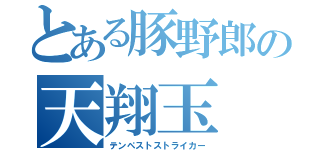 とある豚野郎の天翔玉（テンペストストライカー）